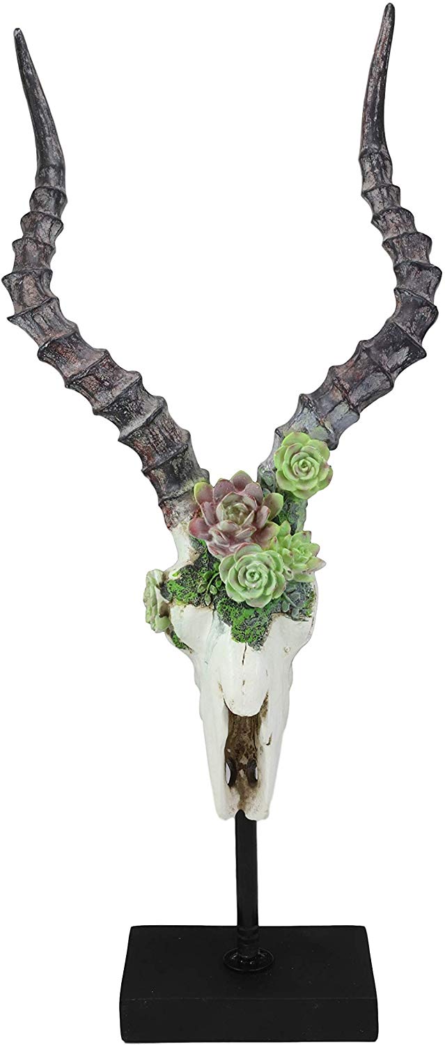 Ebros Western Vintage Aged Faux Taxidermy Greater Kudu Antelope Animal Totem Skull Head With Painted Flowering Succulents On Museum Gallery Mount Decor 3D Statue Replica Skulls Plaque Sculpture