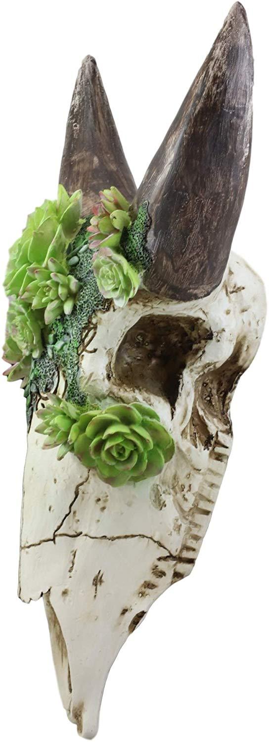 Ebros Western Vintage Aged Faux Taxidermy Wildlife Horned Game Animal Skull Head With Painted Flowering Succulents Wall Mount Decor 3D Replica Skulls Hanging Plaque Sculpture (Steer Bison Buffalo Cow)