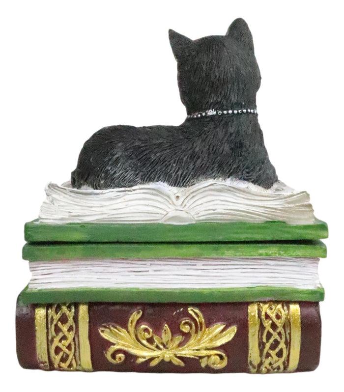 Ebros Wiccan Black Cat Pentagram Star Green Book Of Spells Box Figurine