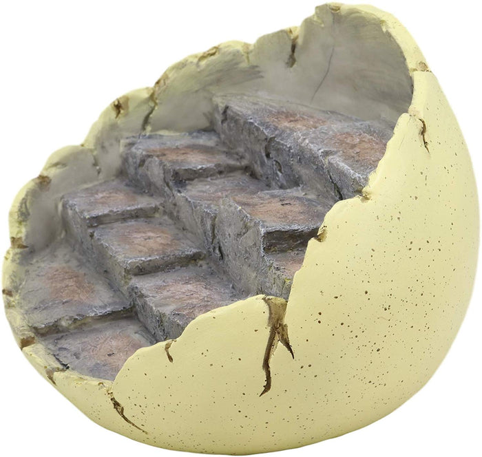 Ebros Wyrmling Dragon Hatchling Cracked Egg Miniature Display Stand With Rocky Steps Figurine As Decorative Housing For Miniature Dragons Sculptures Medieval Fantasy Alchemy Decorative Statue