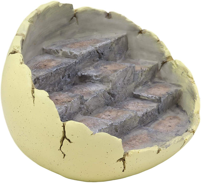 Ebros Wyrmling Dragon Hatchling Cracked Egg Miniature Display Stand With Rocky Steps Figurine As Decorative Housing For Miniature Dragons Sculptures Medieval Fantasy Alchemy Decorative Statue