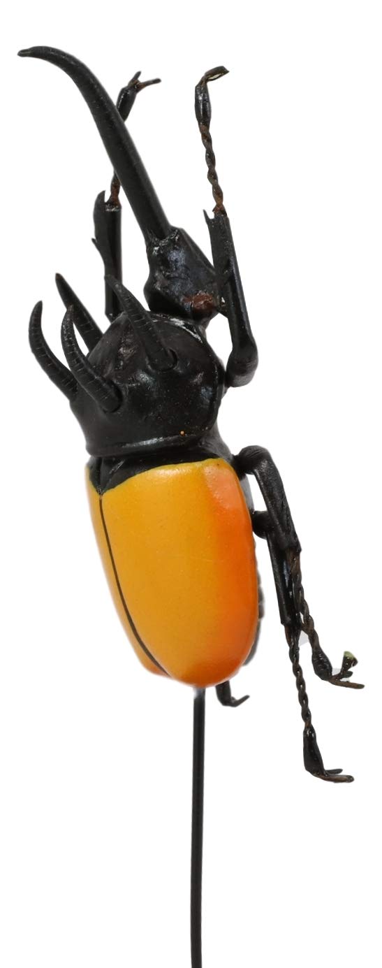 Entomology 3 Horned Rhino Beetle Faux Taxidermy Sculpture In Glass Dome Cloche