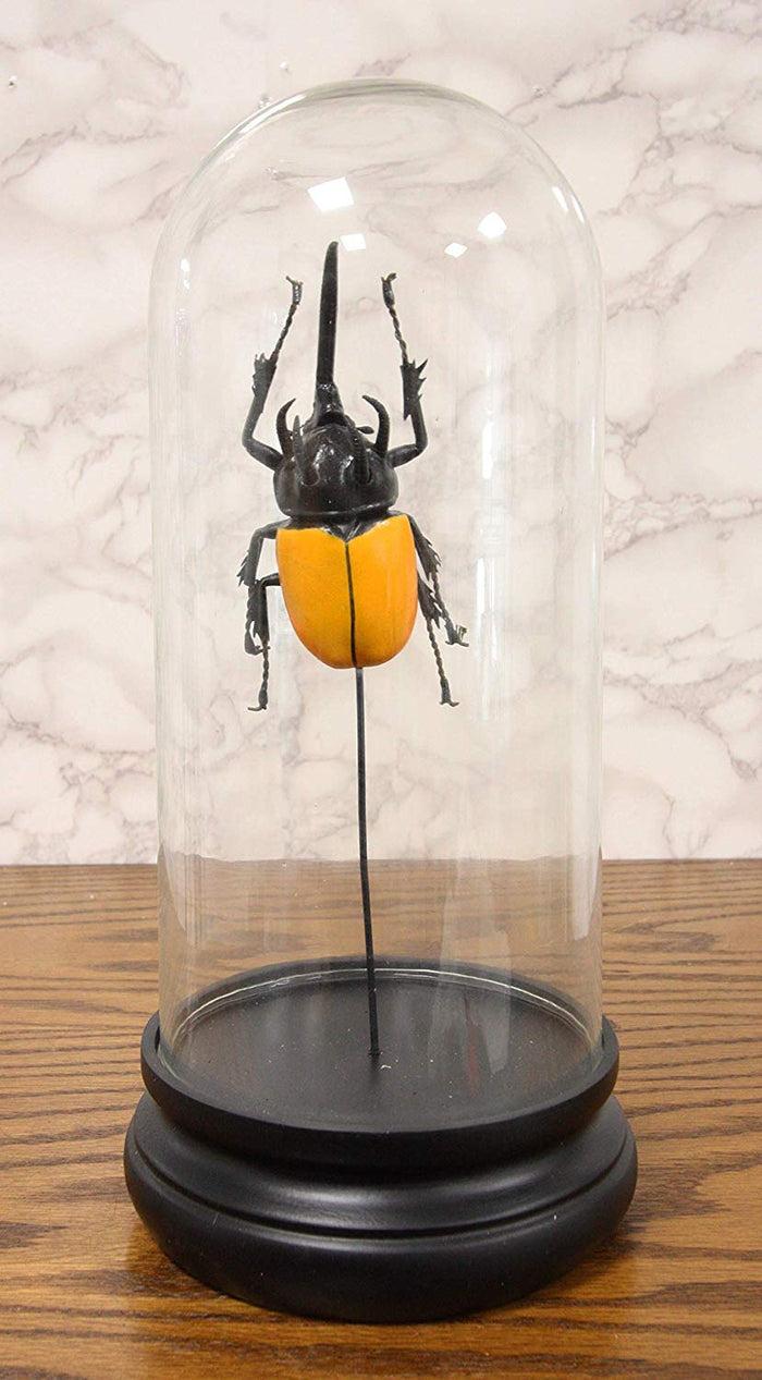 Entomology 3 Horned Rhino Beetle Faux Taxidermy Sculpture in Glass Dome Cloche