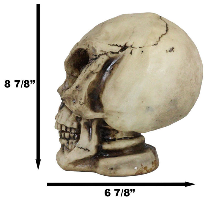 Extra Terrestrial MARS Attack 8" Tall Alien Skull Skeleton Figurine Sculpture