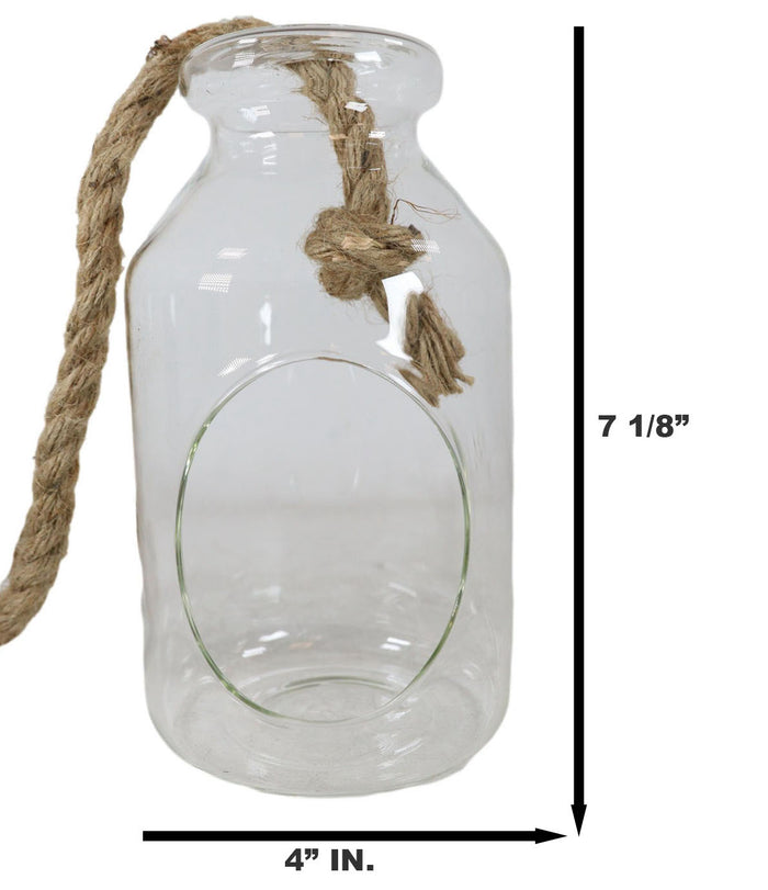 Farmhouse Rustic Country Hanging 7" H Glass Bottle Terrarium With Jute Strings