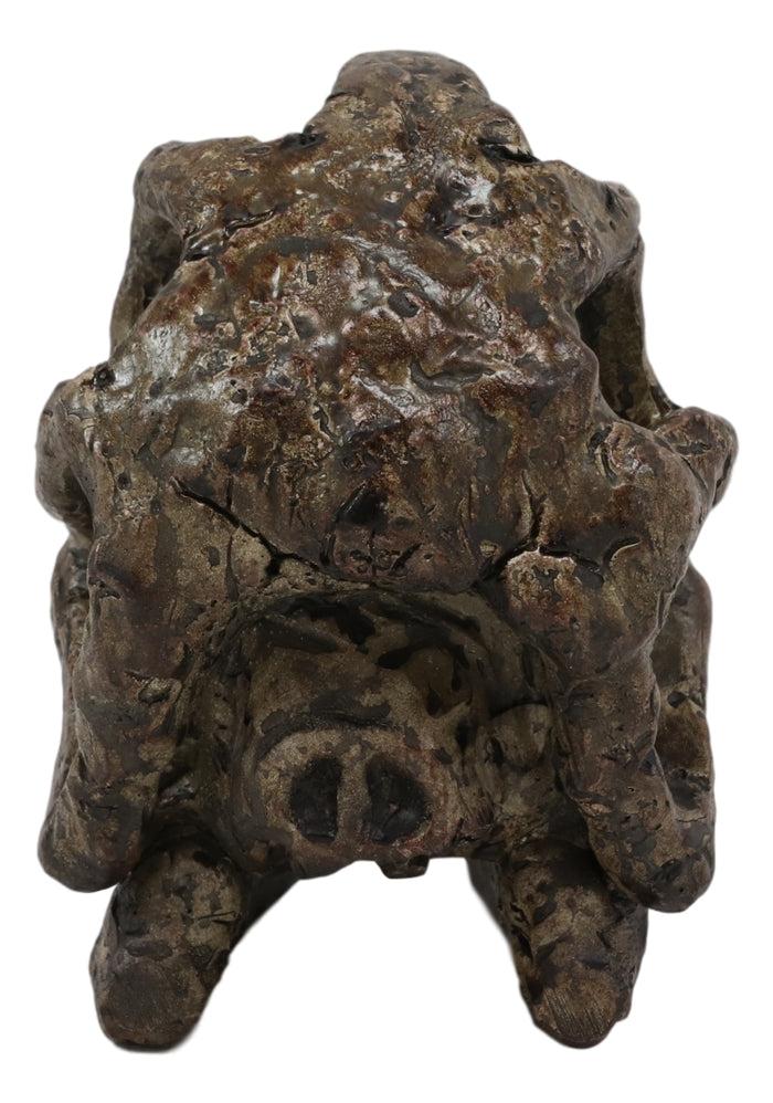 Faux Taxidermy Replica Brachiosaurus Dinosaur Head Fossil Small Skull Figurine