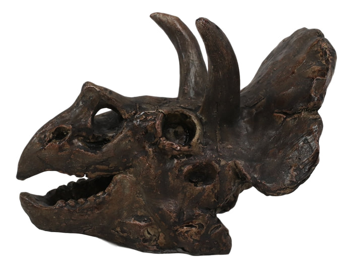 Faux Taxidermy Replica Triceratops Dinosaur Head Fossil Small Skull Figurine