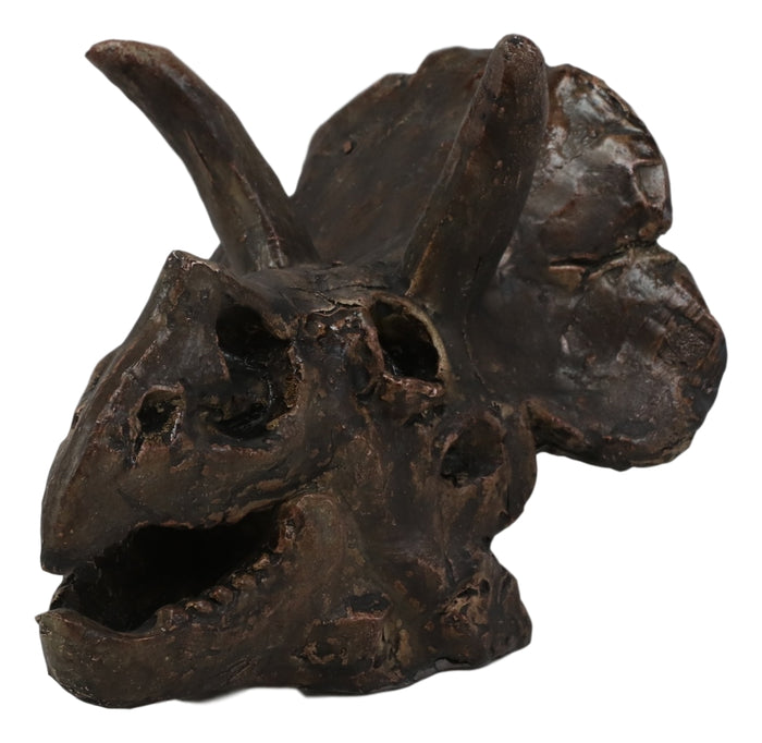 Faux Taxidermy Replica Triceratops Dinosaur Head Fossil Small Skull Figurine