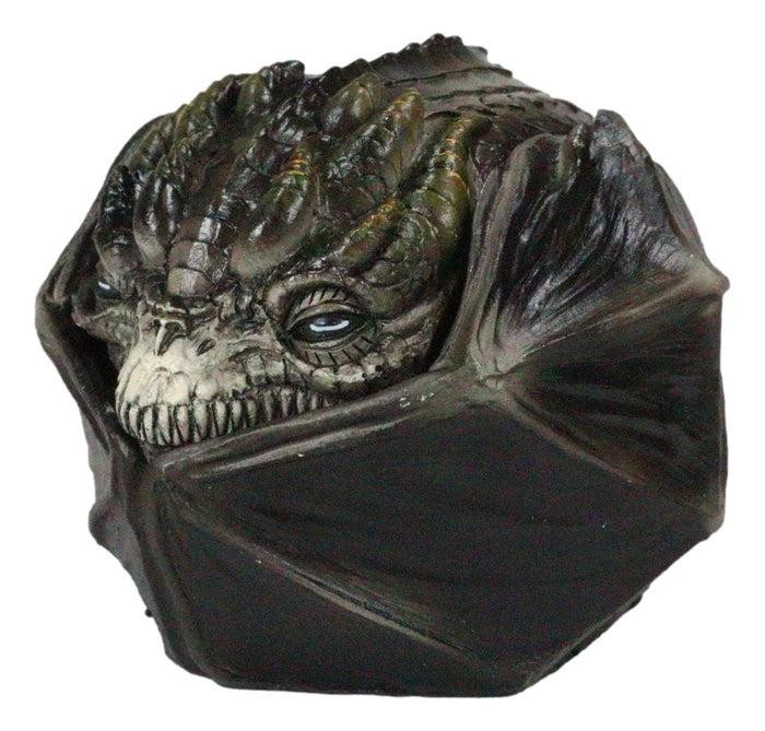 Fear The Dragon Green Hibernating Small Trinket Jewelry Box Stanley Morrison