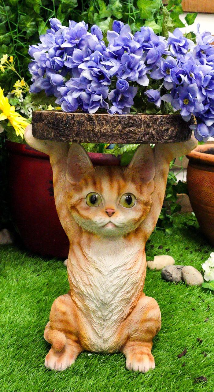 Feline Orange Tabby Cat Kitten Holding Faux Wood Slice Table Stand Figurine Feline Orange Tabby Cat Kitten Holding Faux Wood Slice Table Stand Figurine