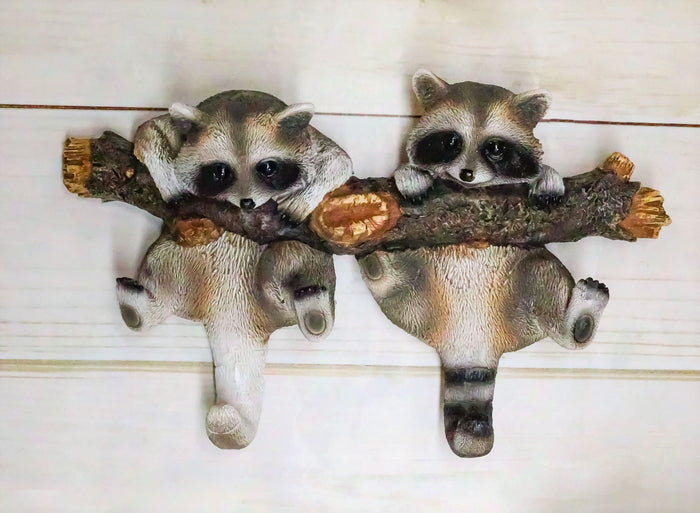 Forest Rustic 2 Playful Raccoons Dangling On Tree Branch 6 Pegs Wall Hook Decor
