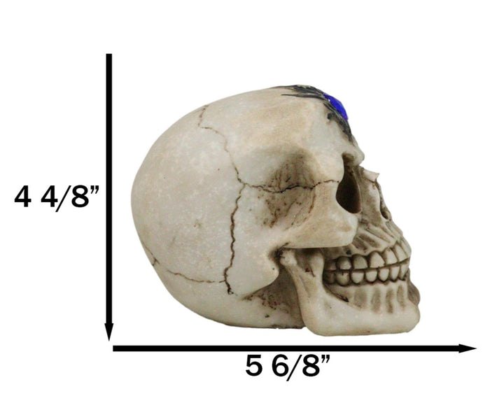 Gothic Macabre Homosapien Skull With Faux Blue Sapphire Gem Crystal Figurine