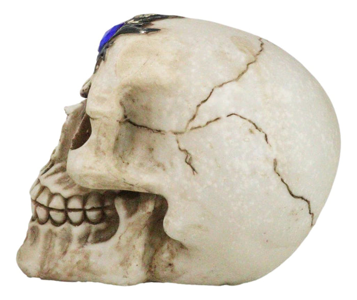 Gothic Macabre Homosapien Skull With Faux Blue Sapphire Gem Crystal Figurine