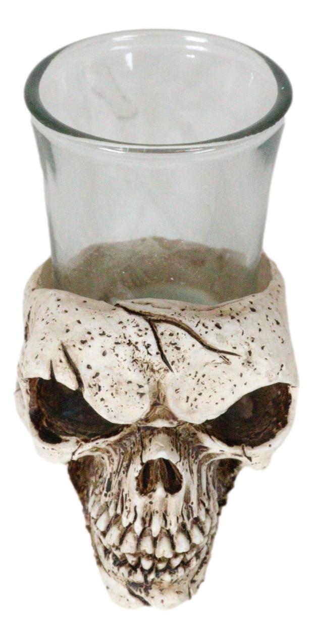 Gothic Ossuary Graveyard Macabre Grinning Evil Skull Shot Glass Holder Figurine