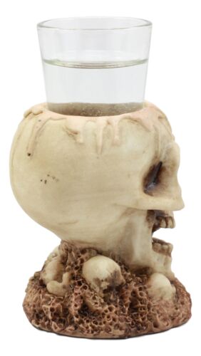 Gothic Ossuary Graveyard Melting Skull Shot Glass Holder Figurine 5"Tall Liquor