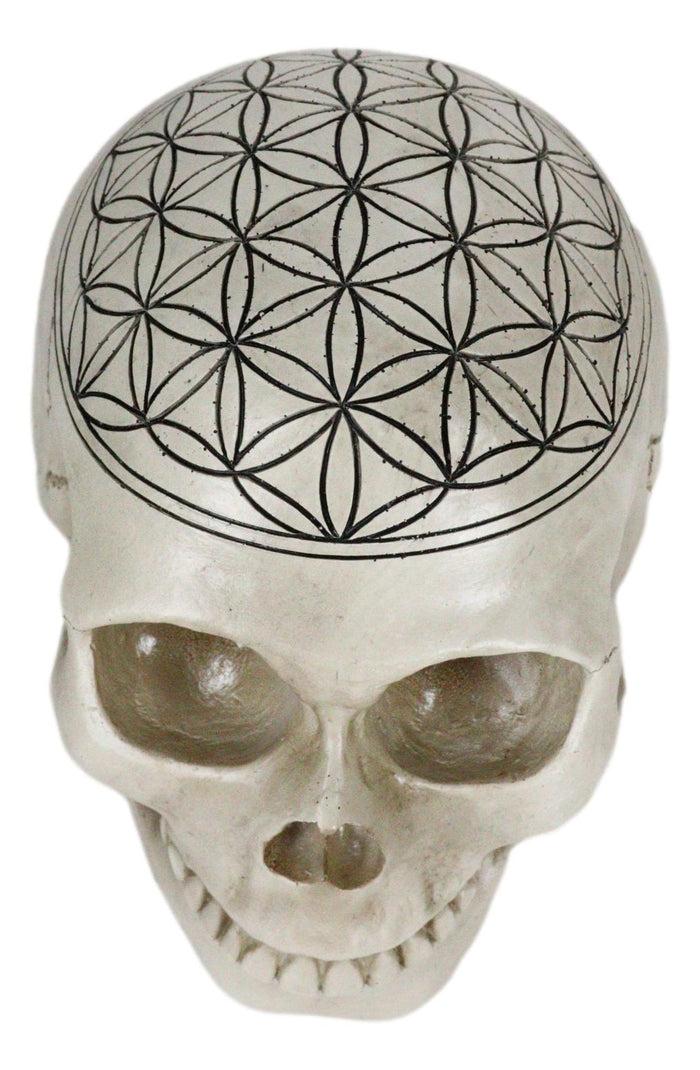 Gothic Sacred Geometry Flower Of Life Creation Cosmic Energy Skull Figurine
