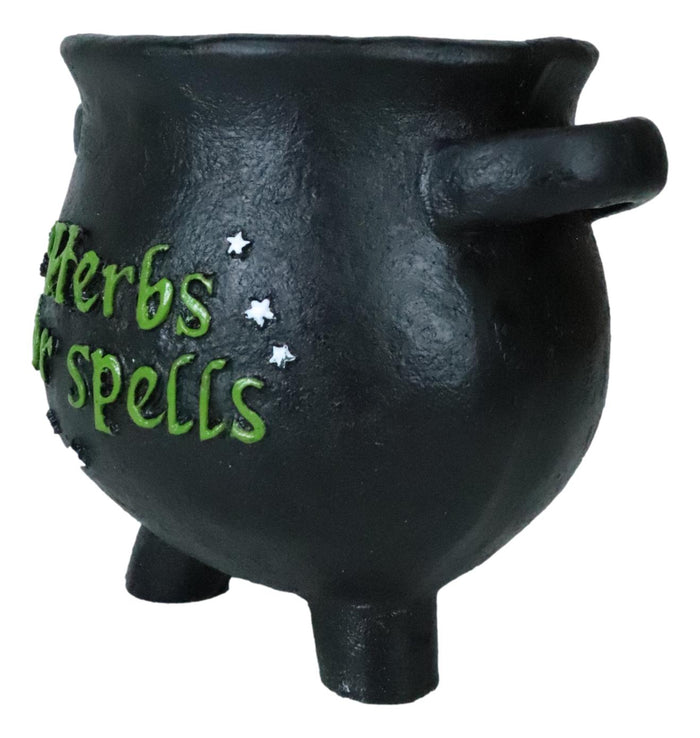 Green Thumb Gardening Black Witchcraft Herbs For Spells Cauldron Planter Pot 5"D