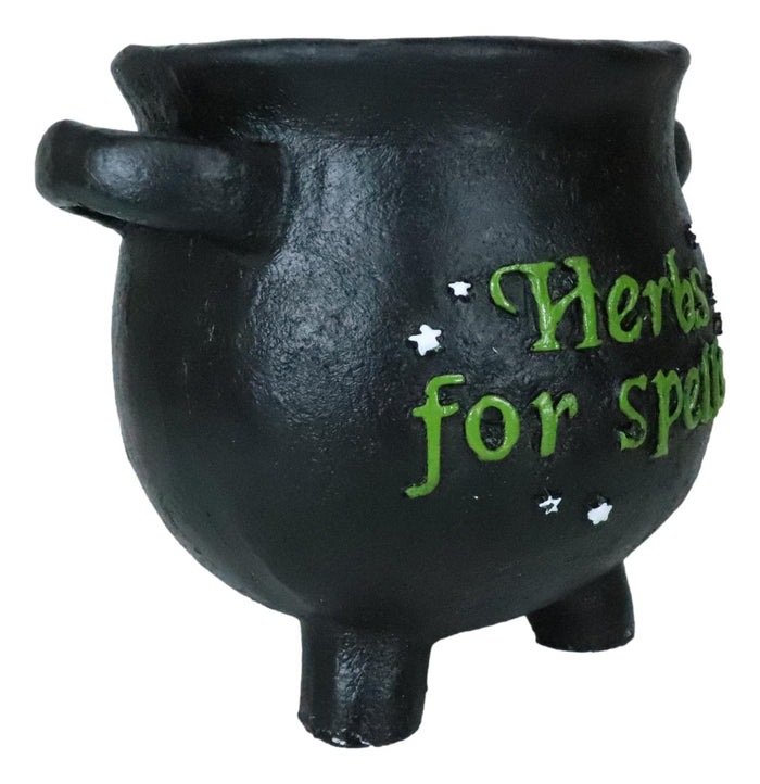 Green Thumb Gardening Black Witchcraft Herbs For Spells Cauldron Planter Pot 5"D