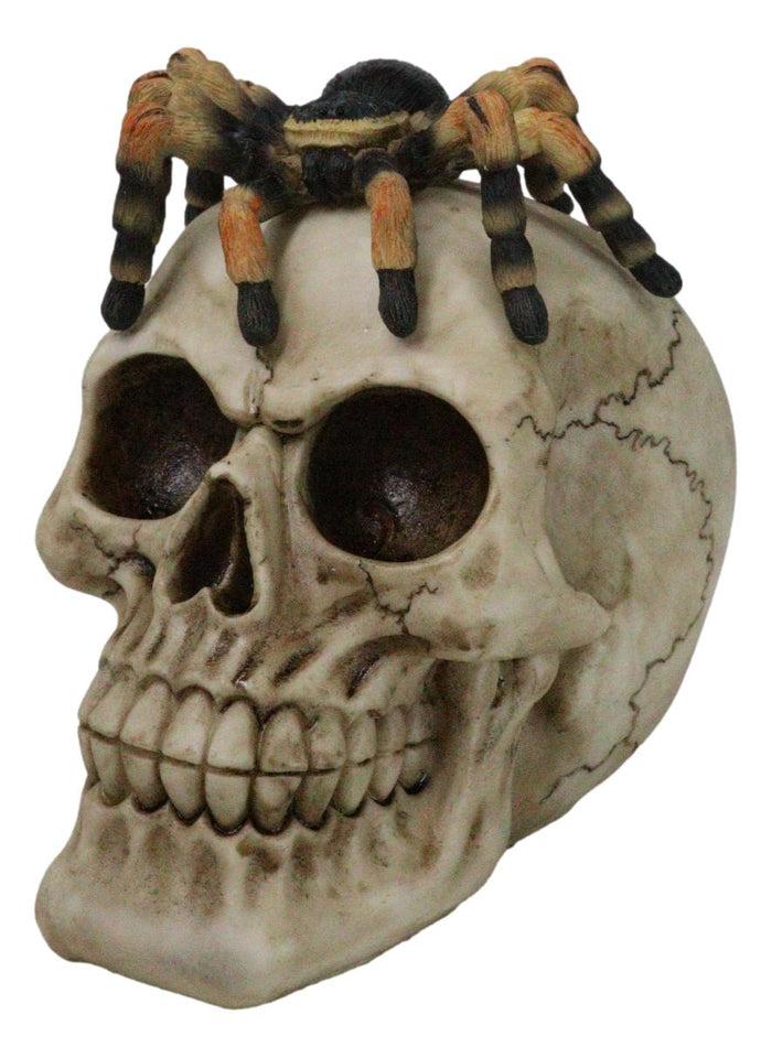 Halloween Macabre Creepy Crawler Tarantula Arachnid Spider On Skull Figurine Halloween Macabre Creepy Crawler Tarantula Arachnid Spider On Skull Figurine