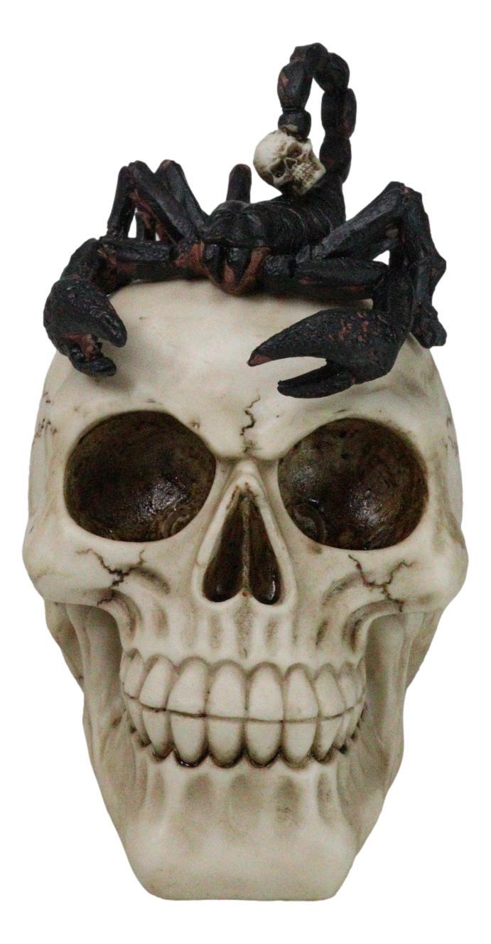 Halloween Macabre Gothic King Scorpion Demoniac On Skull Figurine Halloween Macabre Gothic King Scorpion Demoniac On Skull Figurine