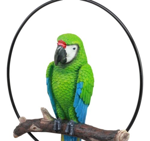 Hanging Military Macaw Parrot Perching On Branch In Metal Round Ring 13.5"H