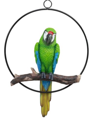 Hanging Military Macaw Parrot Perching On Branch In Metal Round Ring 13.5"H