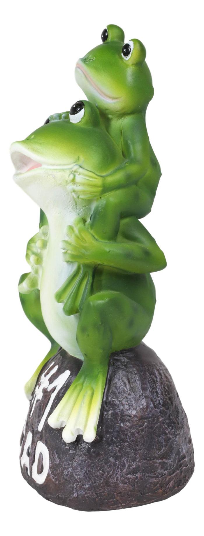 Hoppy Daddy World's No #1 Dad Piggybacking Frog Family On Boulder Rock Figurine