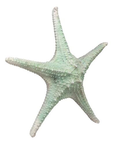 Jumbo Ocean Coral Sea Star Shell Starfish Statue 11"L Nautical Coastal Decor