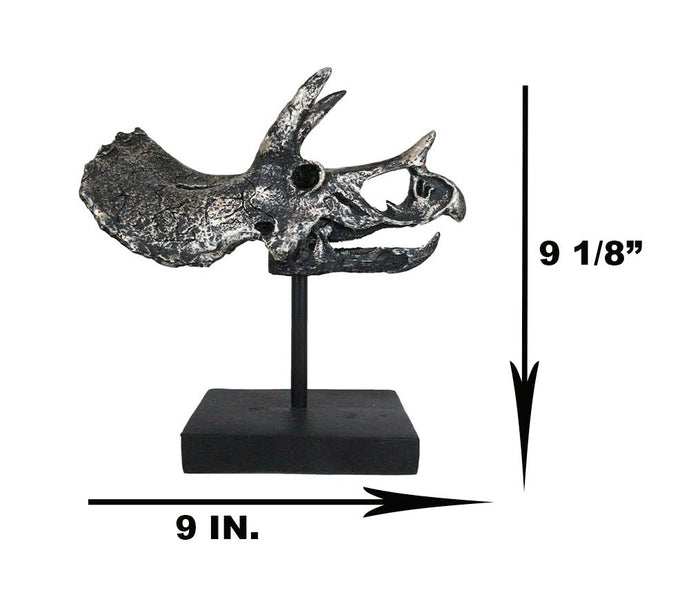 Jurassic '3 Horns' Triceratops Dinosaur Fossil Skeleton Statue With Stand 9"L