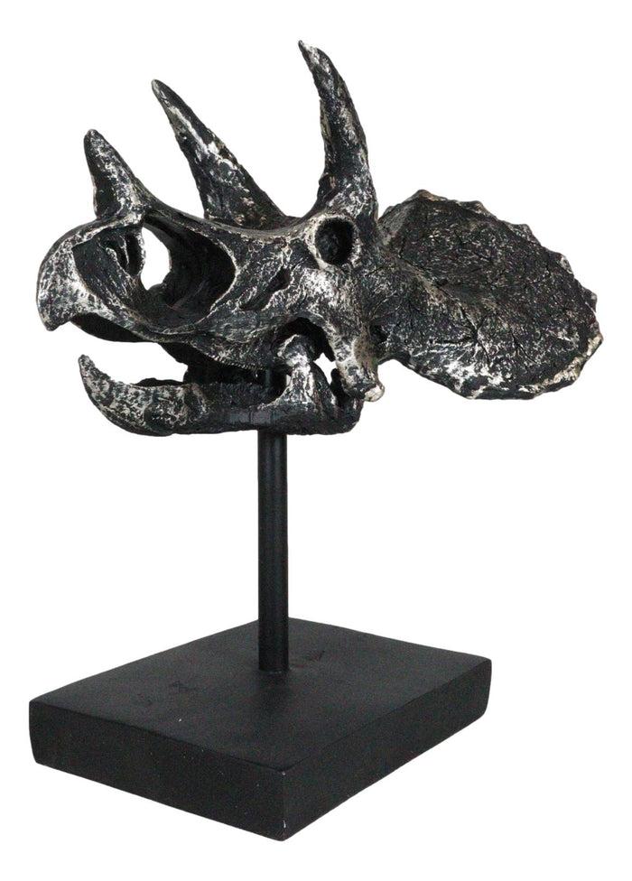 Jurassic '3 Horns' Triceratops Dinosaur Fossil Skeleton Statue With Stand 9"L