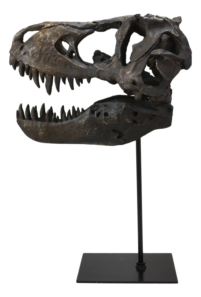 Jurassic Tyrannosaurus Rex T-Rex Faux Fossil Skull With Pole Display Mount 11.5"