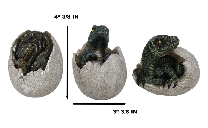 Jurassic Velociraptor And T-Rex Breaking Out Of Egg Dinosaur Figurine Set Of 3