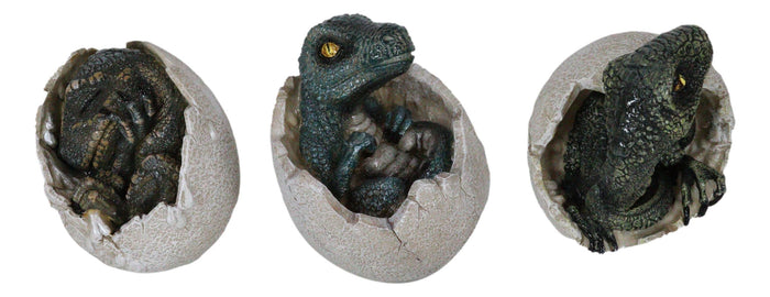 Jurassic Velociraptor And T-Rex Breaking Out Of Egg Dinosaur Figurine Set Of 3