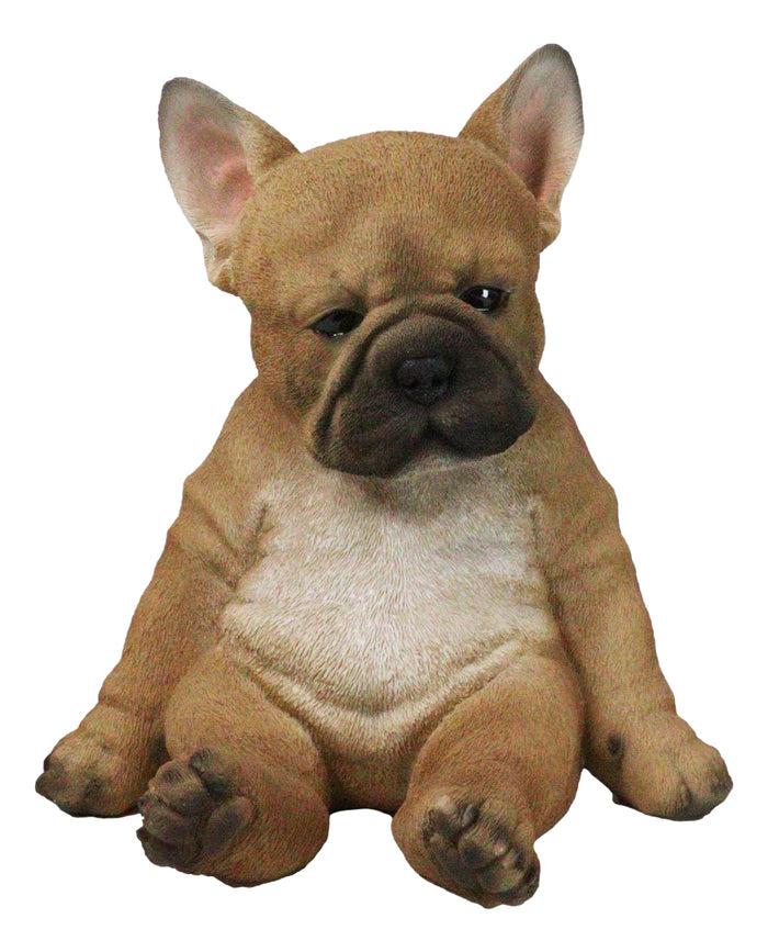 Laid Back Sitting Realistic Adorable French Bulldog Puppy Dog Figurine 7.5"H Laid Back Sitting Realistic Adorable French Bulldog Puppy Dog Figurine 7.5"H