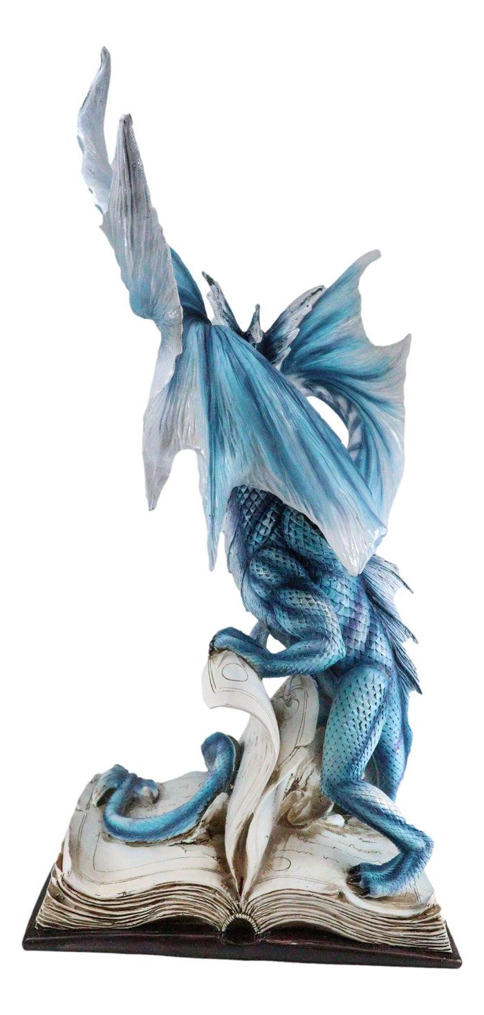 Large 18"H Dragon Of Bibliography Sacred Water Spell Book Guardian Statue Decor