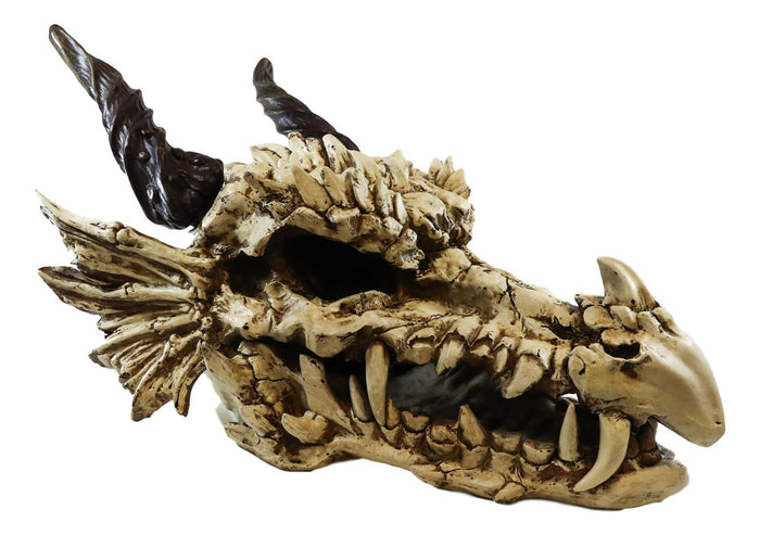 Large 27" Long Dragon Fossil Skull With Horns Mighty Grendel Resin Home Decor Figurine