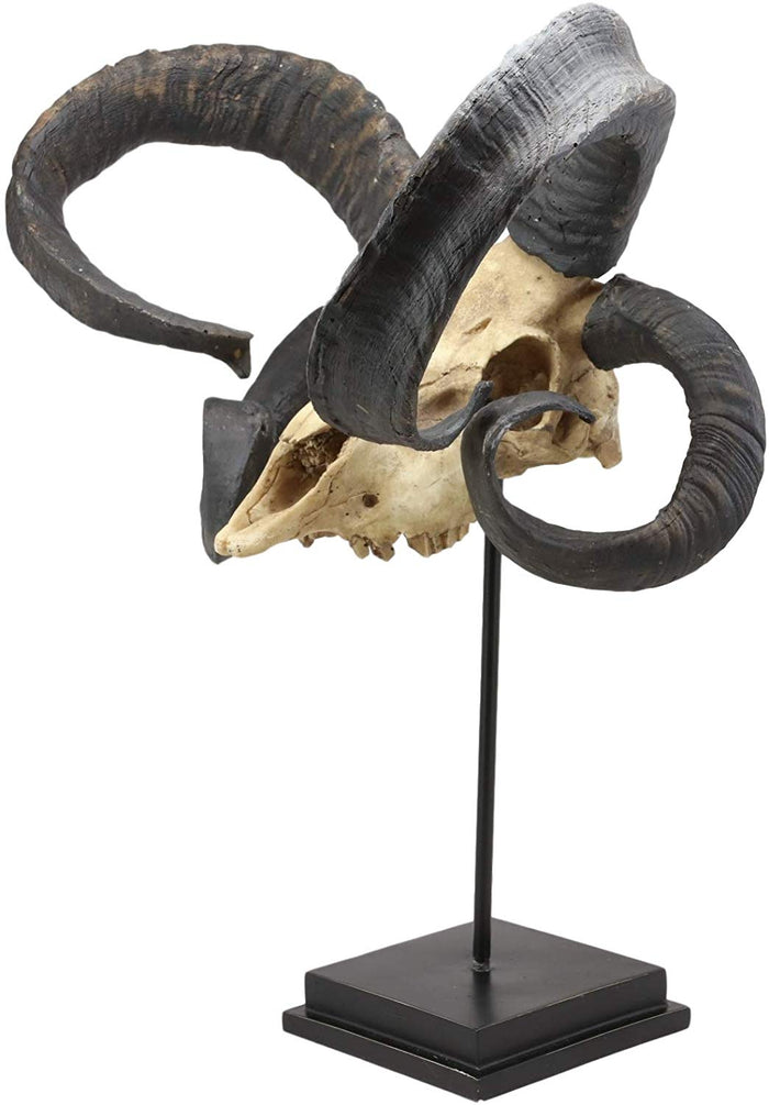 Large Alien Mutated Quad Horns Ram Skull Sculpture On Museum Base Stand 17.25"H