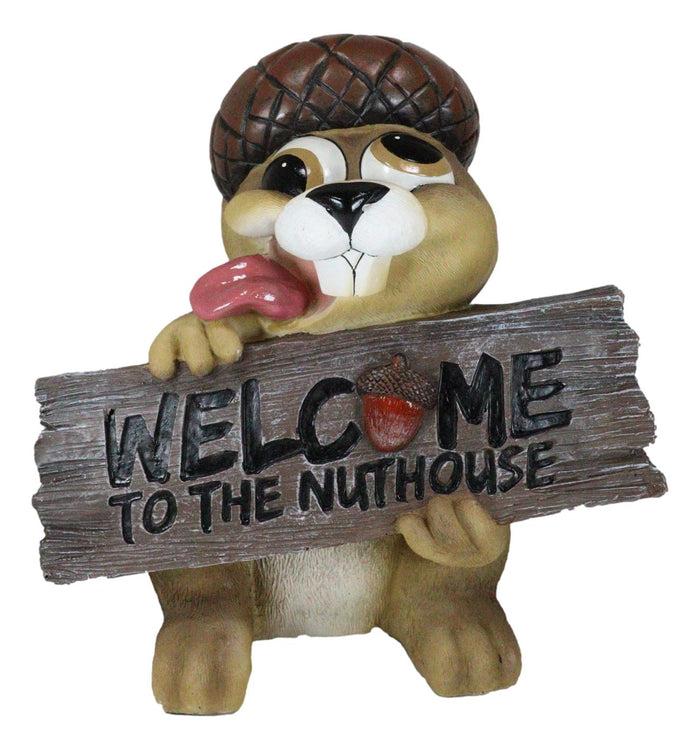 Large Crazy Squirrel With Acorn Hat Welcome To The Nuthouse Guest Greeter Statue
