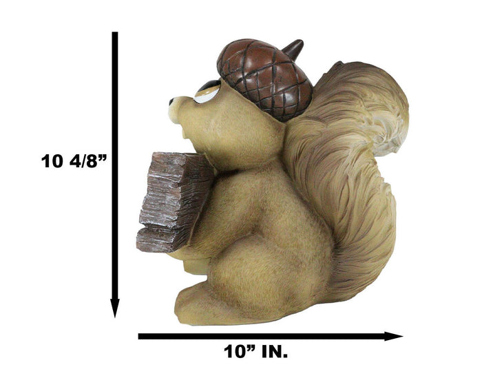 Large Crazy Squirrel With Acorn Hat Welcome To The Nuthouse Guest Greeter Statue