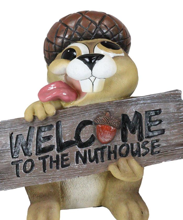 Large Crazy Squirrel With Acorn Hat Welcome To The Nuthouse Guest Greeter Statue