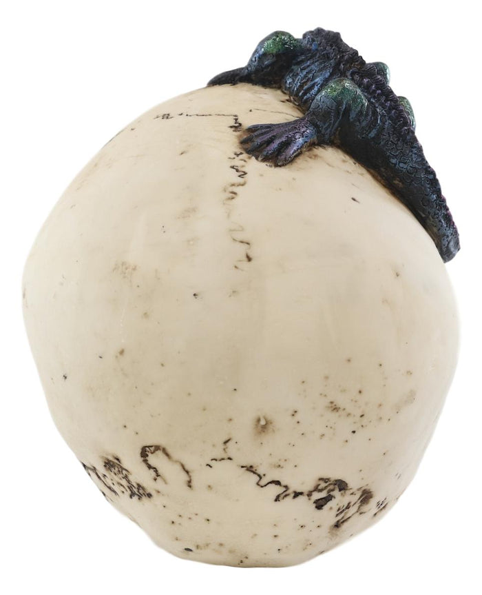 Large Dracula Fanged Skull With Iguana Statue Halloween Spooky Decor Figurine