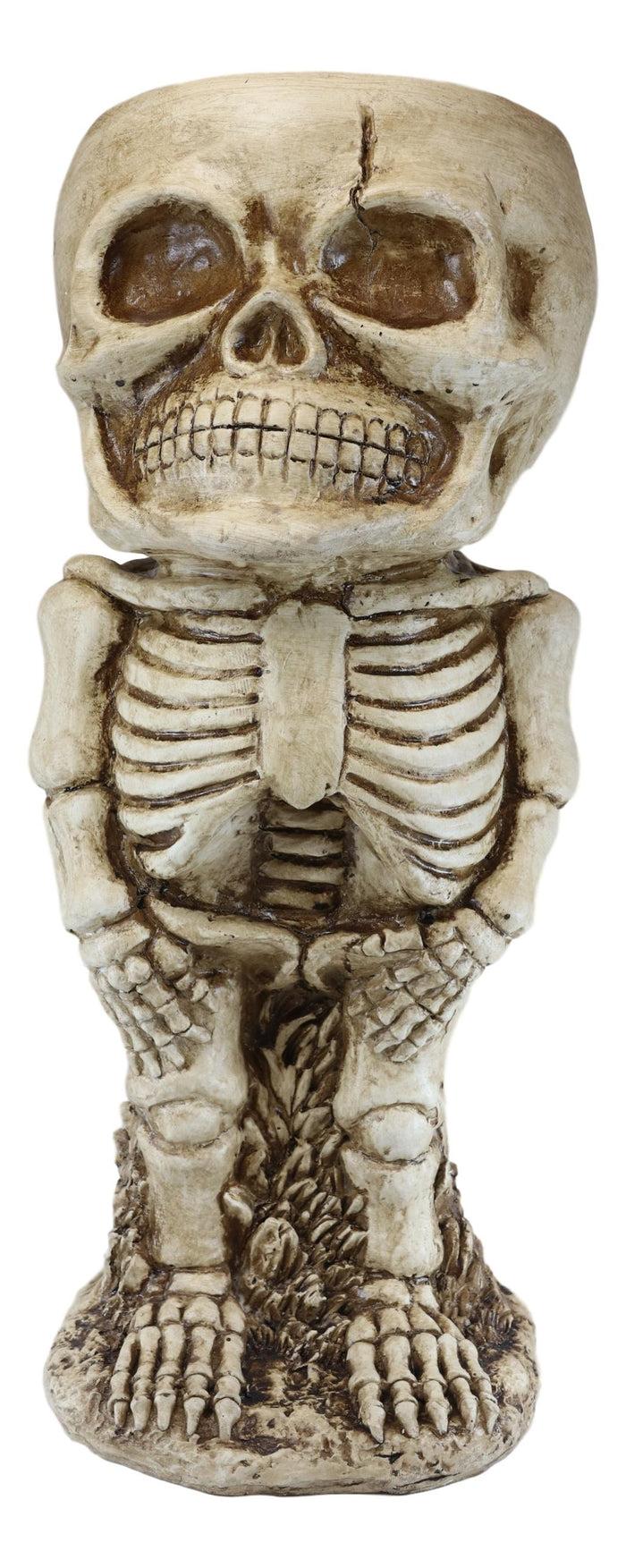 Large Grinning Baby Skeleton Skull Floral Nursery Plant Planter Bowl Pot Statue