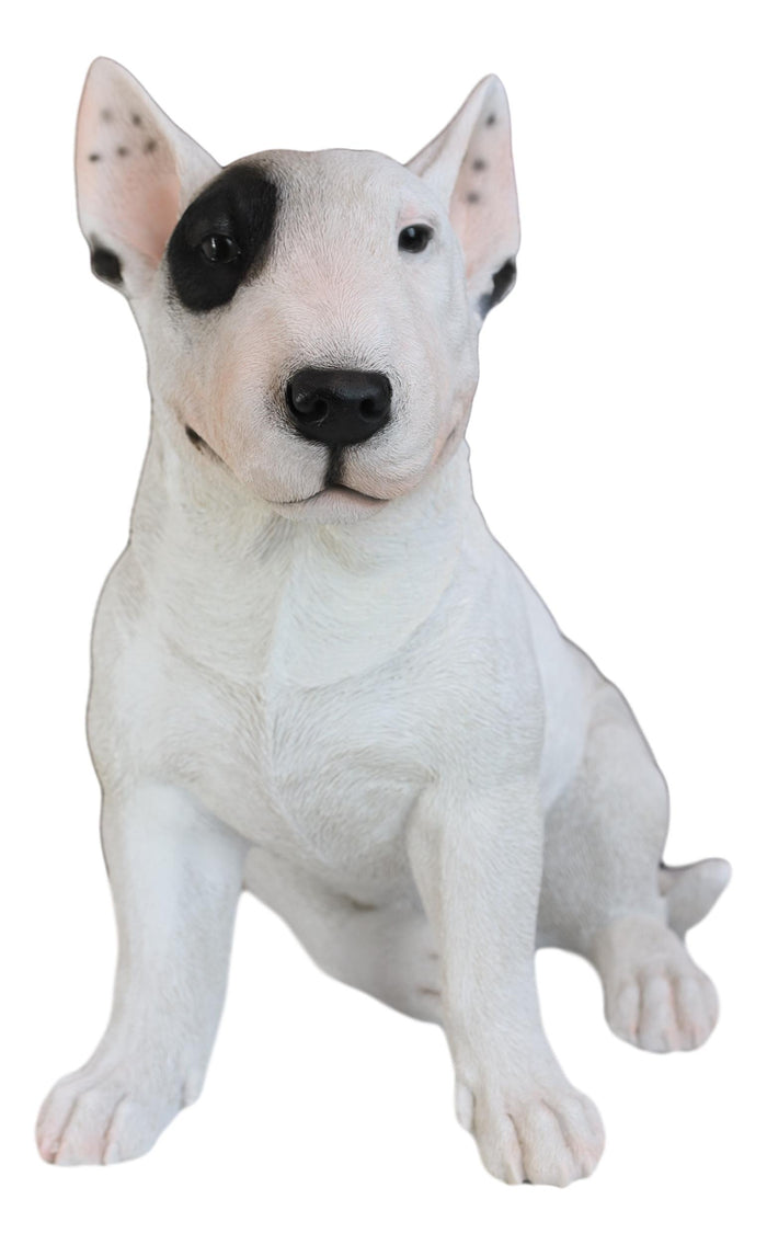 Large Lifelike Comical Bull Terrier Sitting Statue 16" L Fine Pedigree Dog Decor