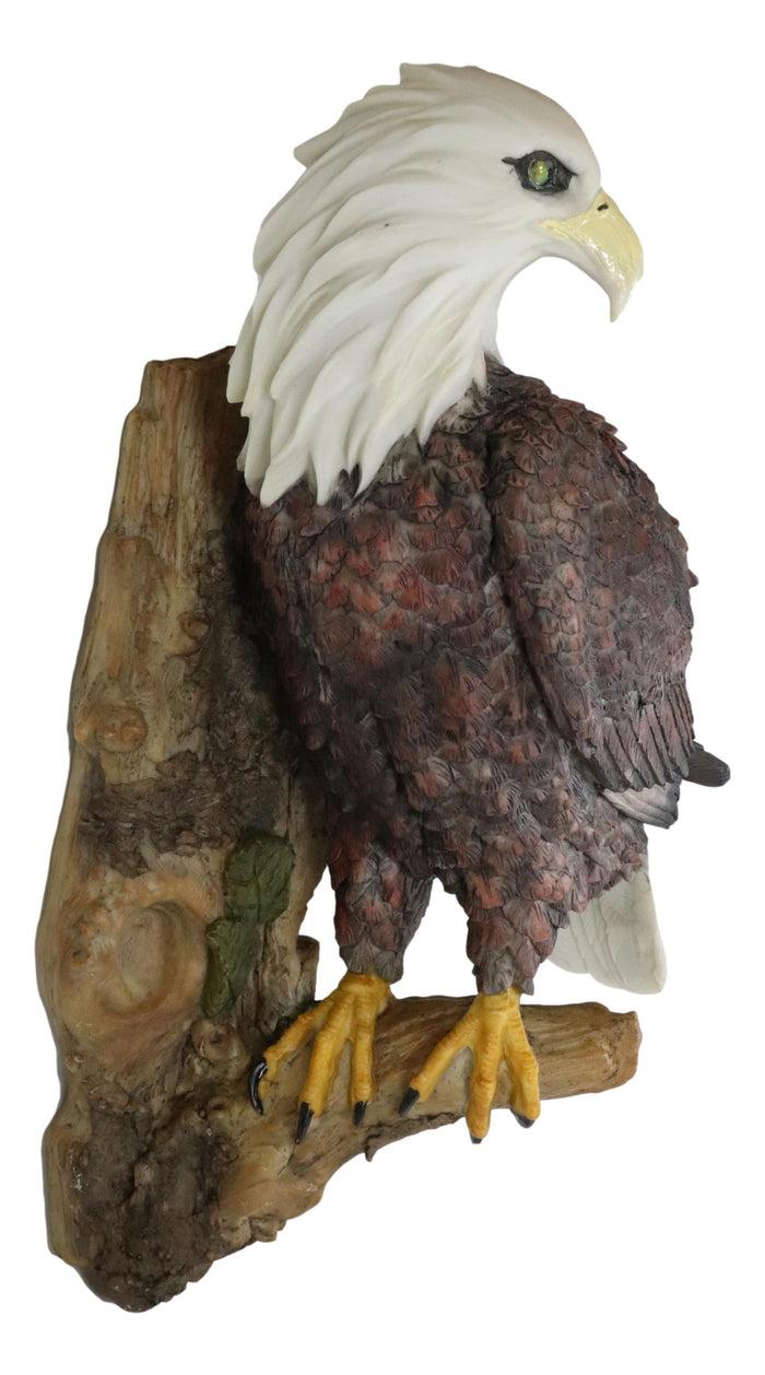 Large Mountain Grand Bald Eagle Perching On Tree Branch Wall Decor Plaque 17.5"H