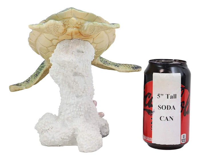 Large Nautical Ocean Colorful Giant Sea Turtle Swimming By White Corals Statue