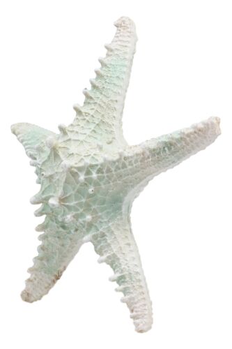 Large Ocean Coral Sea Star Shell Starfish Statue 8"L Nautical Coastal Decor