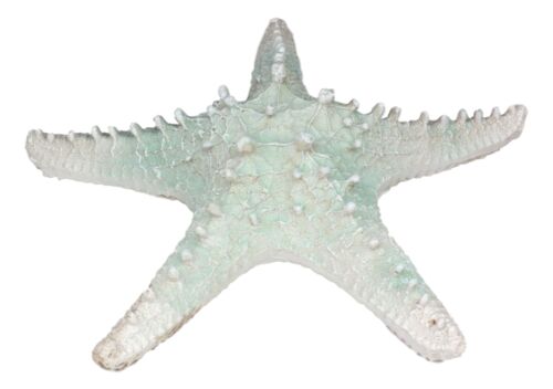 Large Ocean Coral Sea Star Shell Starfish Statue 8"L Nautical Coastal Decor