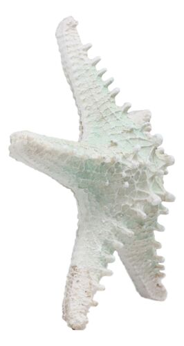 Large Ocean Coral Sea Star Shell Starfish Statue 8"L Nautical Coastal Decor