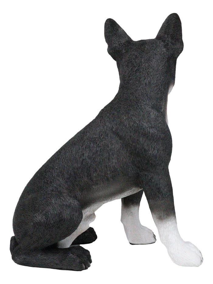 Large Realistic Tuxedo Boston Terrier Statue 15"Tall Animal Dog Collectible