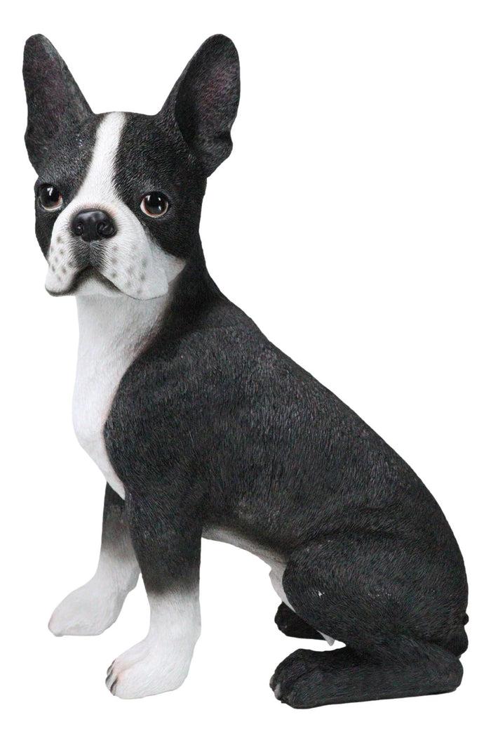 Large Realistic Tuxedo Boston Terrier Statue 15"Tall Animal Dog Collectible Large Realistic Tuxedo Boston Terrier Statue 15"Tall Animal Dog Collectible